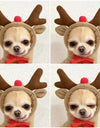Translation missing: en.sections.featured_product.gallery_thumbnail_alt
