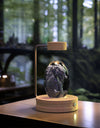 Translation missing: ar.sections.featured_product.gallery_thumbnail_alt
