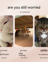 Translation missing: ar.sections.featured_product.gallery_thumbnail_alt
